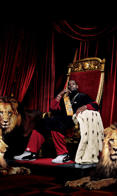 Lebron James With Lions wallpaper 480x800