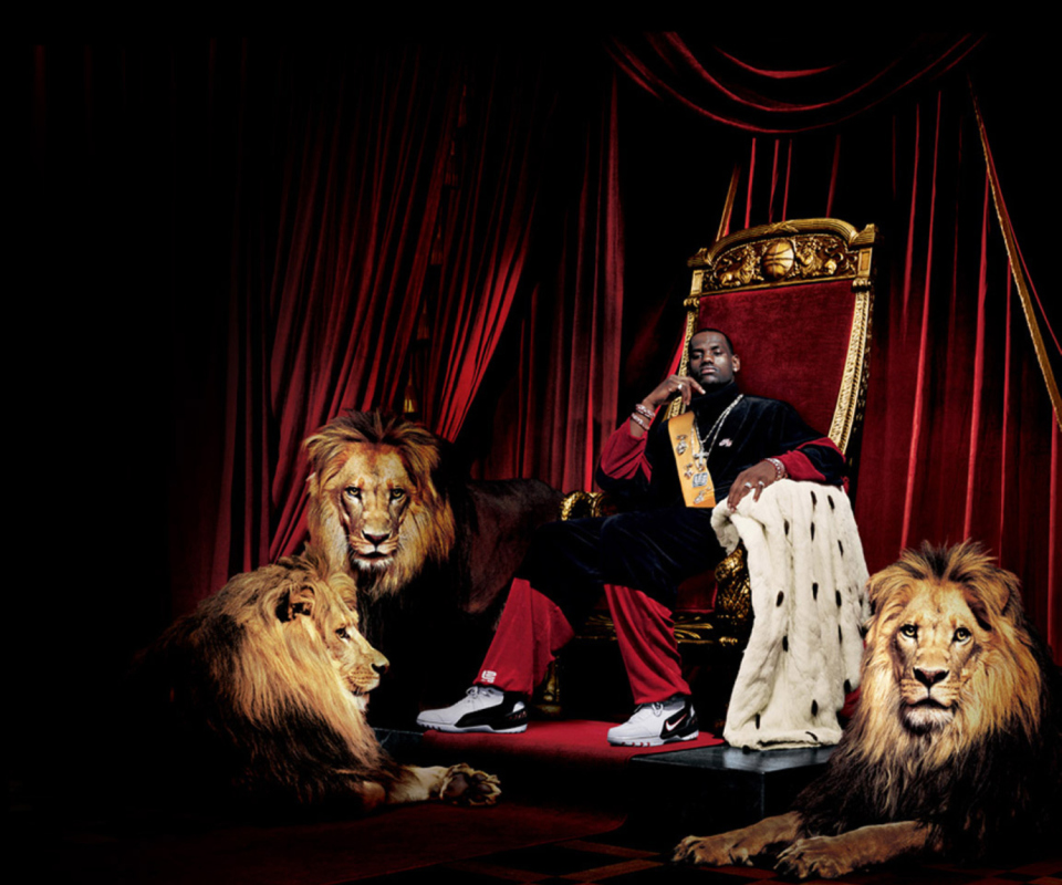 Lebron James With Lions wallpaper 960x800
