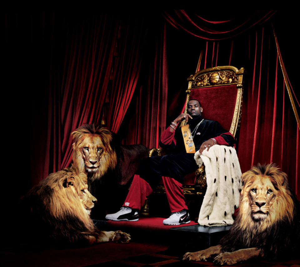 Lebron James With Lions wallpaper 960x854