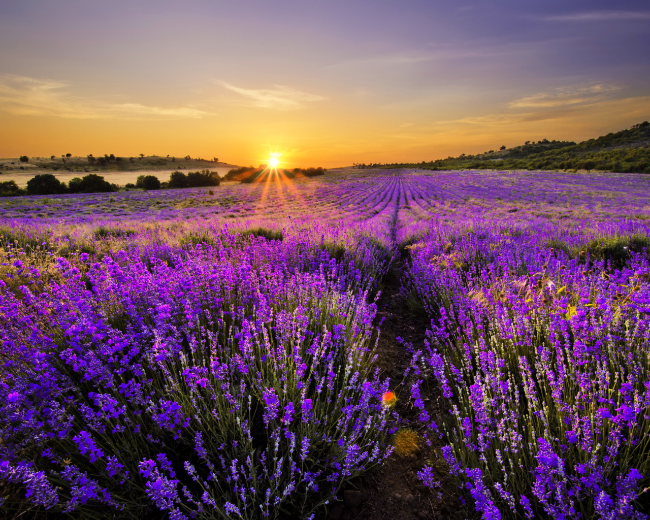 Screenshot №1 pro téma Provence Sunrise 1280x1024