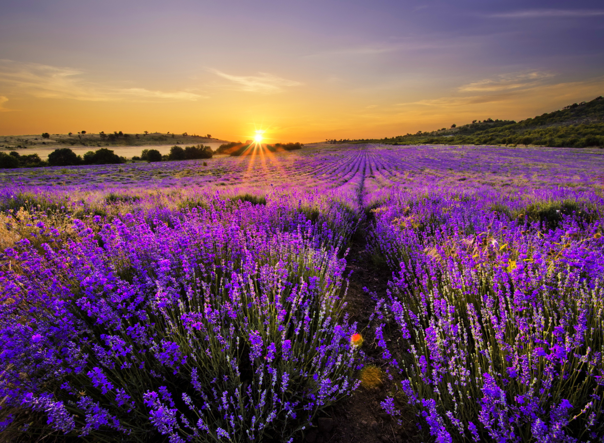 Sfondi Provence Sunrise 1920x1408