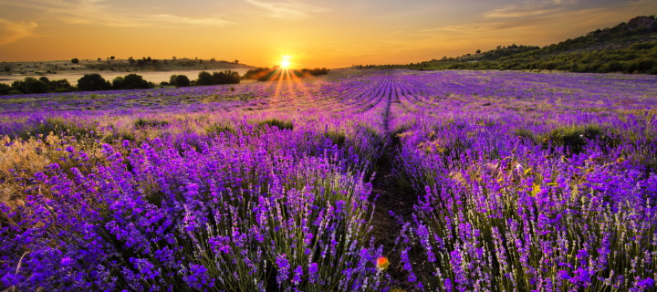 Provence Sunrise wallpaper 720x320