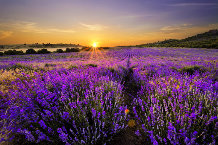 Обои Provence Sunrise