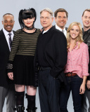 Das NCIS TV Series Cast Wallpaper 128x160