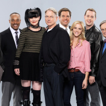 NCIS TV Series Cast screenshot #1 208x208