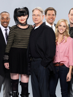 Das NCIS TV Series Cast Wallpaper 240x320