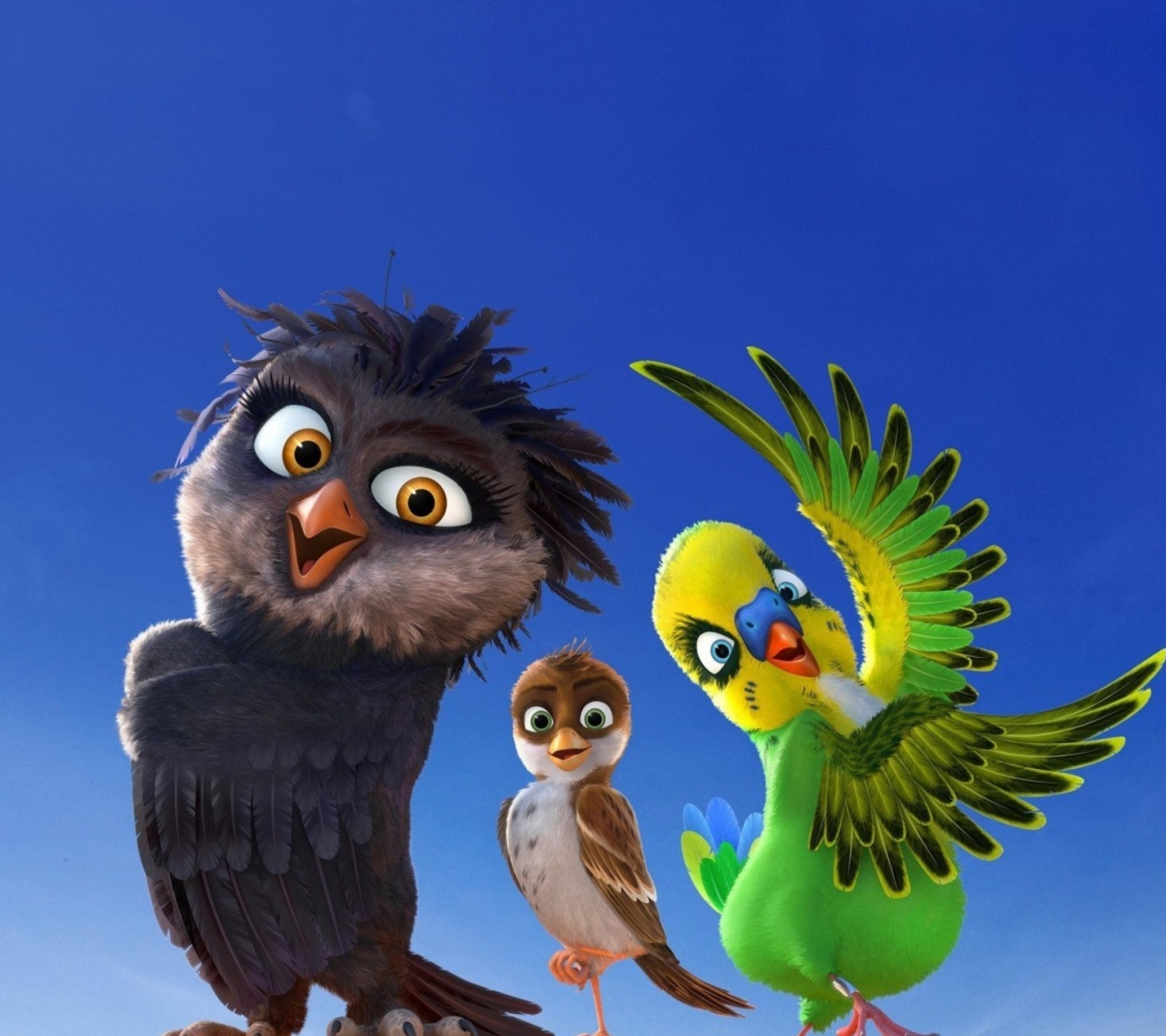 Обои Angry Birds the Movie 1440x1280