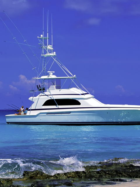 Sfondi Luxury Yacht in the Mediterranean Sea 480x640