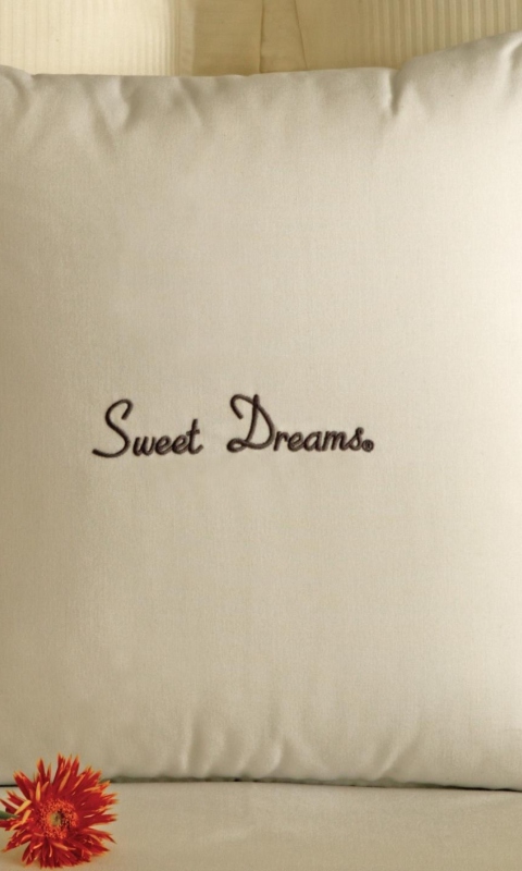 Fondo de pantalla Sweet Dreams 480x800