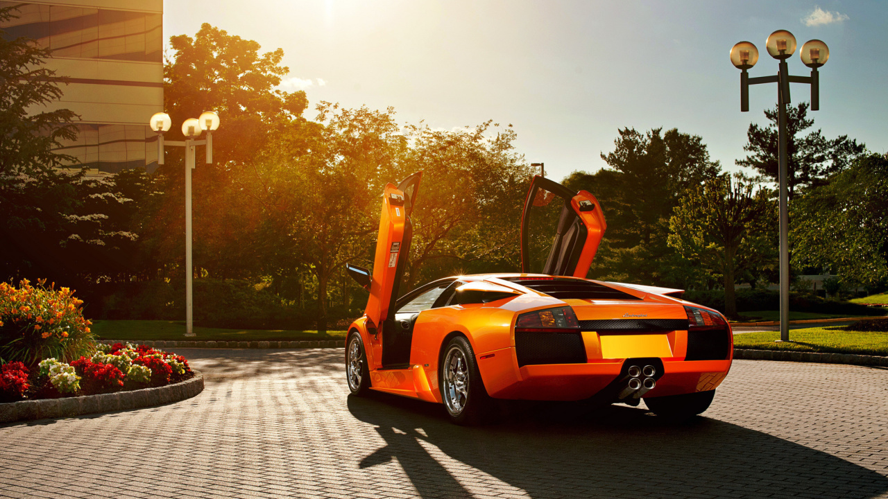 Das Lamborghini HD Wallpaper 1280x720