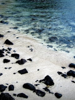 Black Stones On White Sand Beach wallpaper 240x320