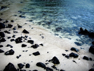 Fondo de pantalla Black Stones On White Sand Beach 320x240