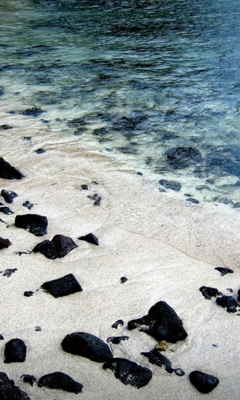 Black Stones On White Sand Beach wallpaper 480x800