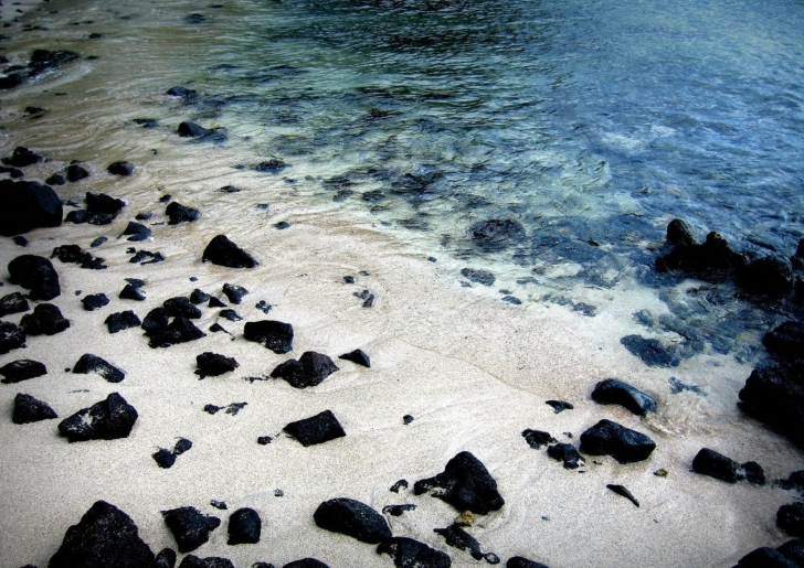 Fondo de pantalla Black Stones On White Sand Beach