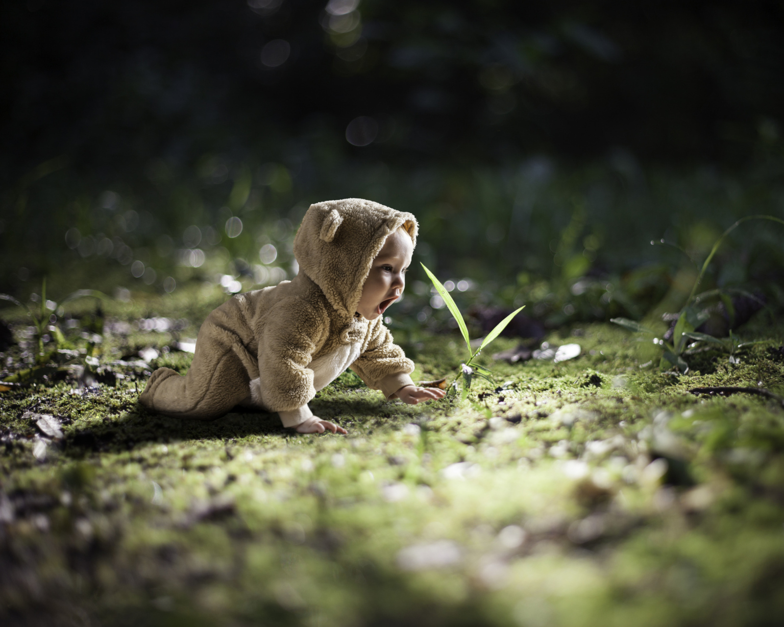 Fondo de pantalla Cute Baby Crawling 1600x1280