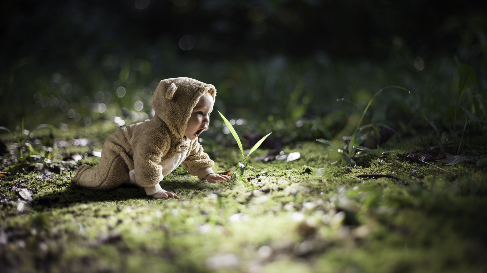 Das Cute Baby Crawling Wallpaper 1600x900