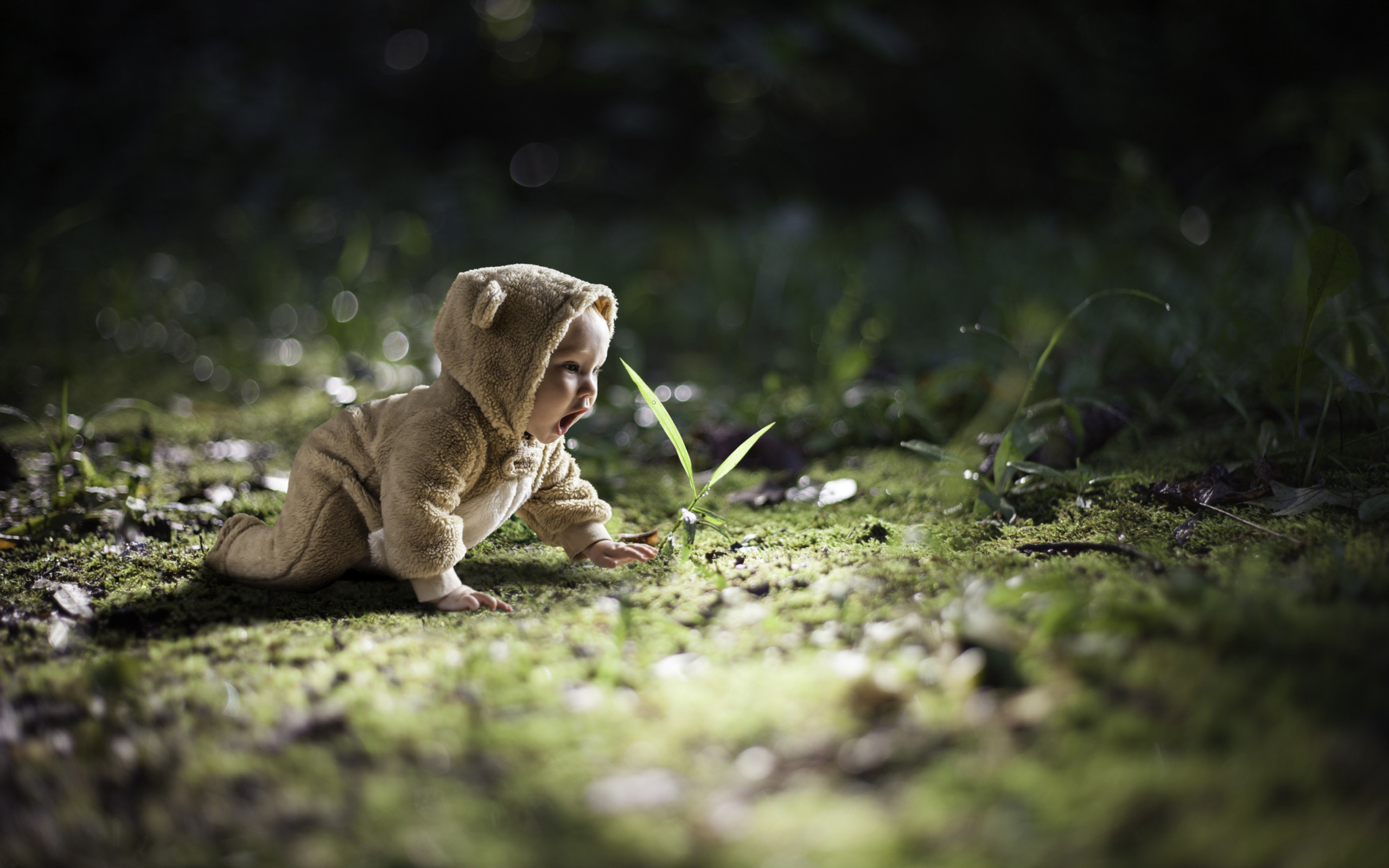 Cute Baby Crawling wallpaper 2560x1600