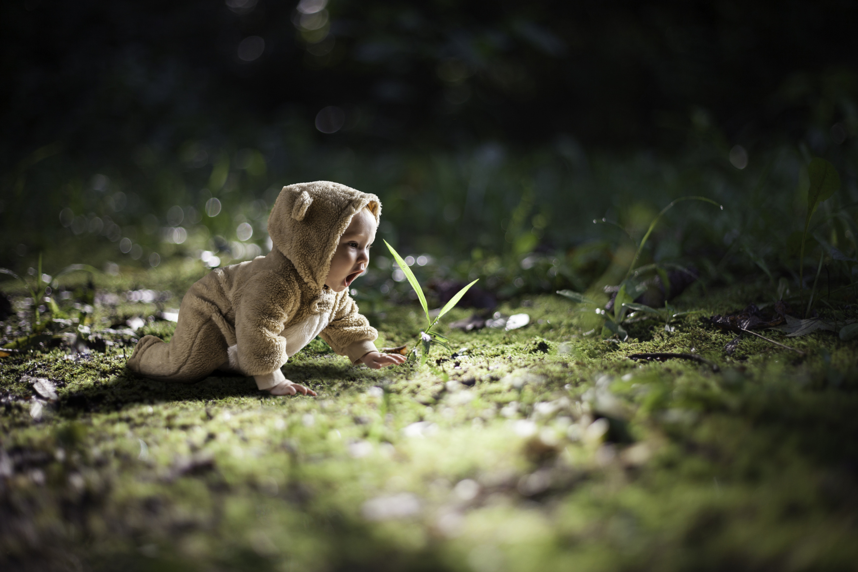 Обои Cute Baby Crawling 2880x1920