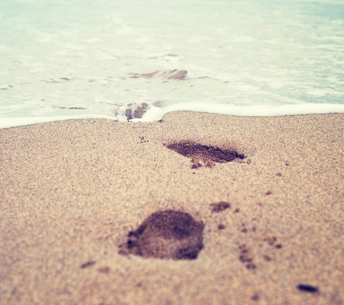 Footsteps In Sand wallpaper 1440x1280