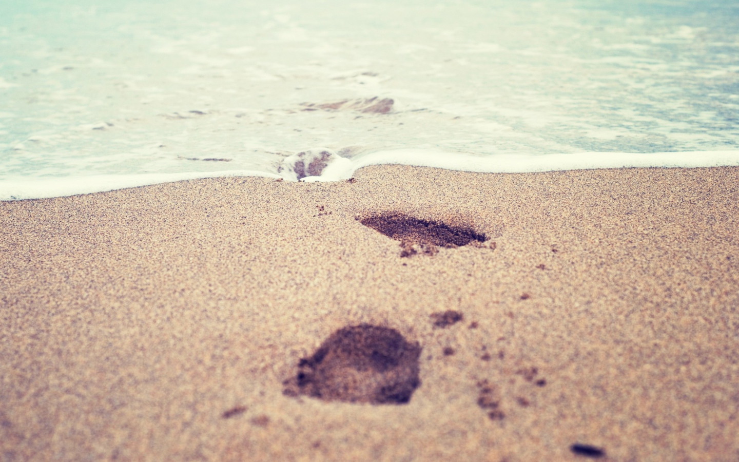 Sfondi Footsteps In Sand 1440x900