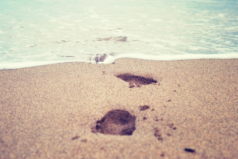 Footsteps In Sand wallpaper 480x320