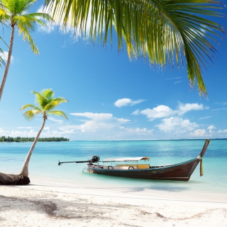 Tulum, Mexico Tropical Beach - Obrázkek zdarma pro iPad mini