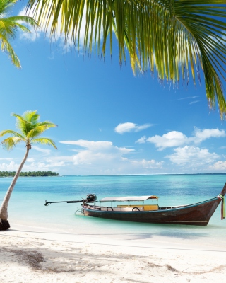 Tulum, Mexico Tropical Beach - Obrázkek zdarma pro 640x960