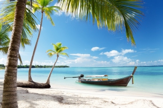 Tulum, Mexico Tropical Beach - Obrázkek zdarma pro 480x400