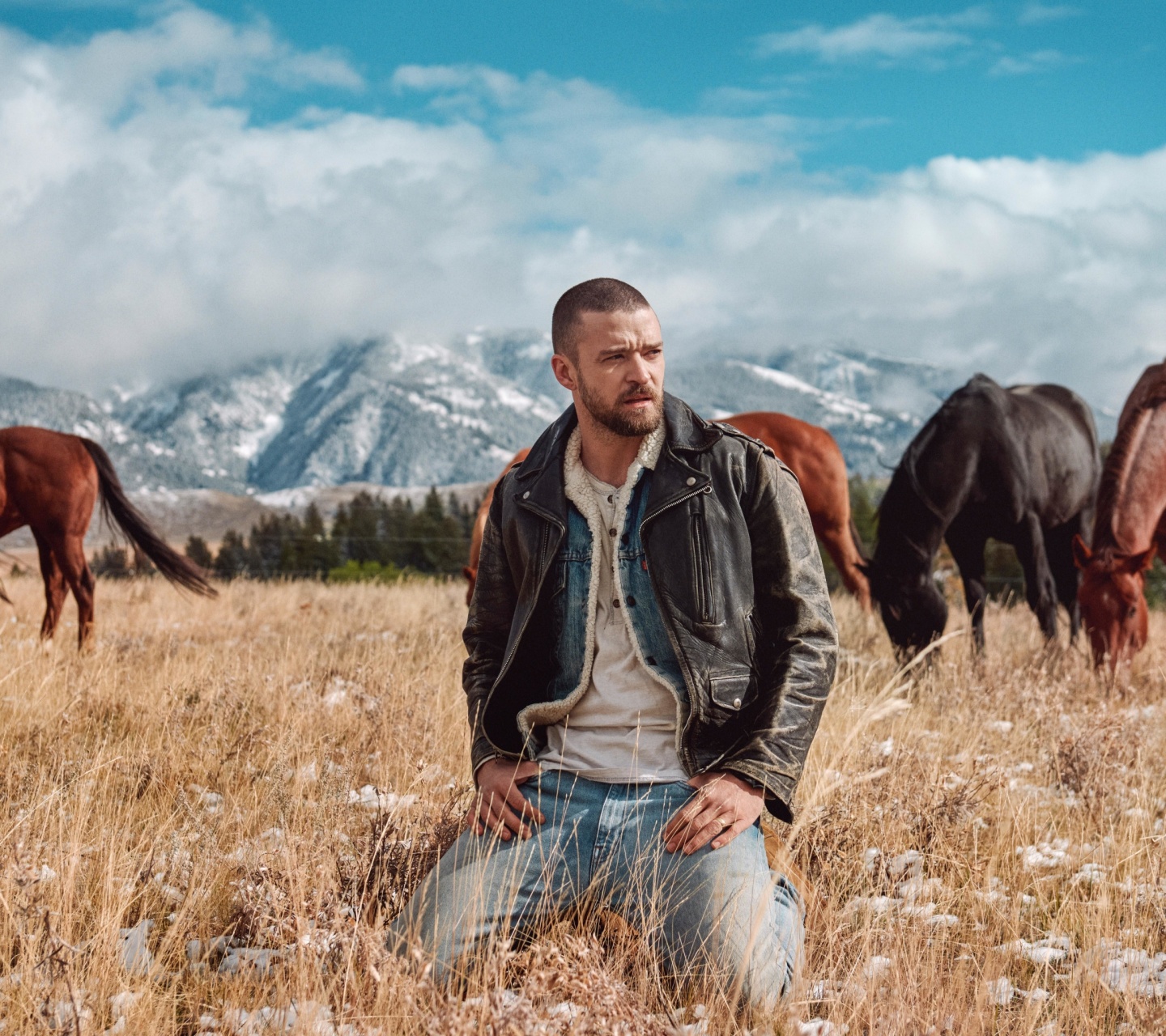 Sfondi Justin Timberlake 1440x1280