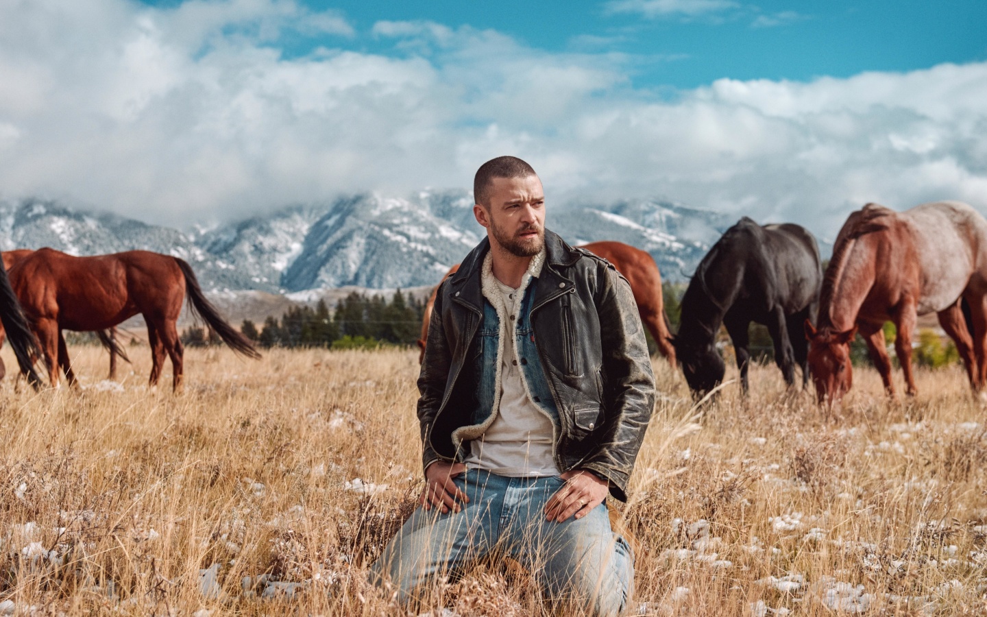 Das Justin Timberlake Wallpaper 1440x900