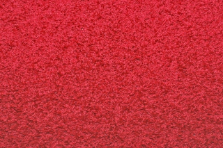 Bright Red Carpet sfondi gratuiti per 1920x1080