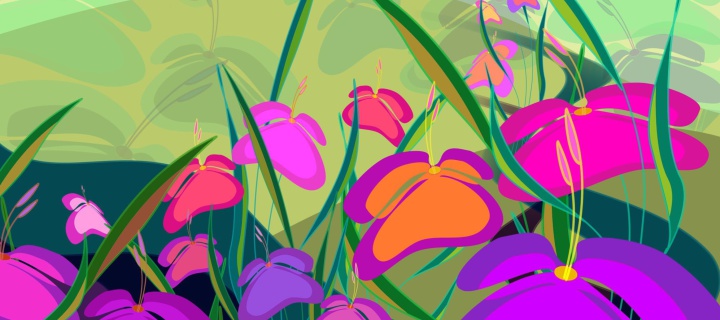 Fondo de pantalla Meadow Flowers 720x320