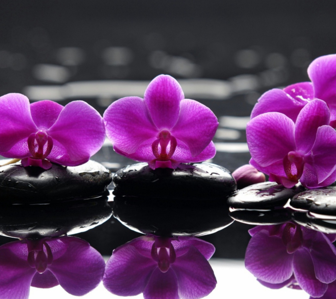 Spa Purple Flowers wallpaper 1080x960