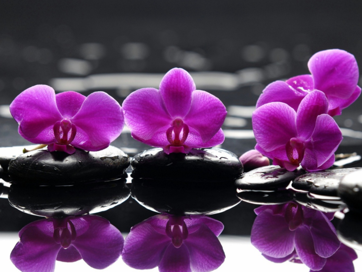 Screenshot №1 pro téma Spa Purple Flowers 1152x864