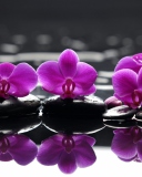 Fondo de pantalla Spa Purple Flowers 128x160