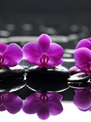 Spa Purple Flowers screenshot #1 132x176