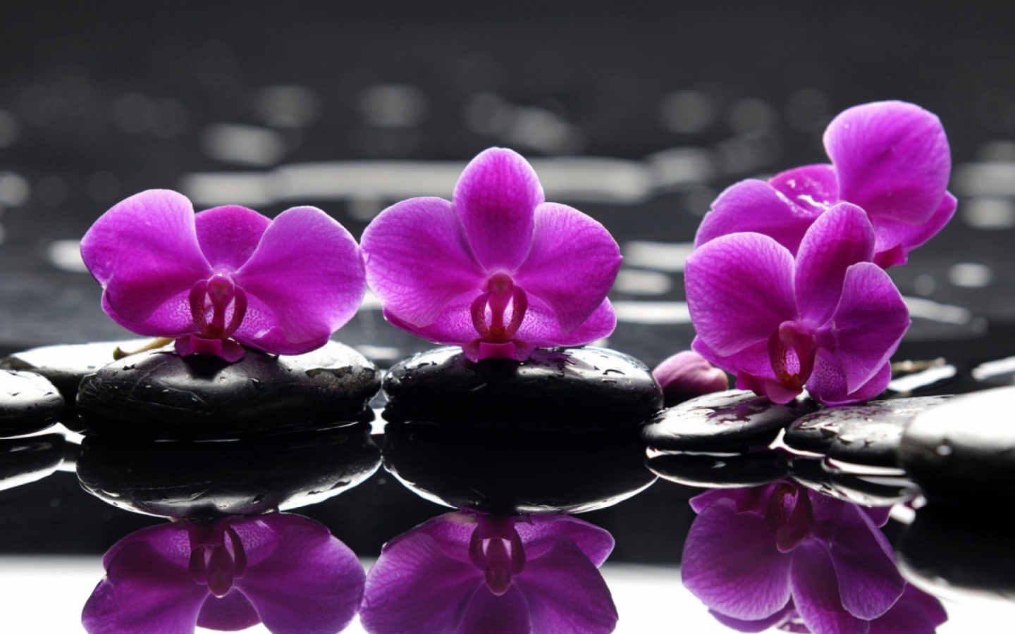 Screenshot №1 pro téma Spa Purple Flowers 1440x900