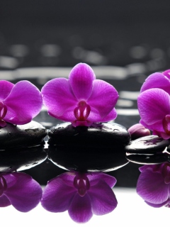 Das Spa Purple Flowers Wallpaper 240x320