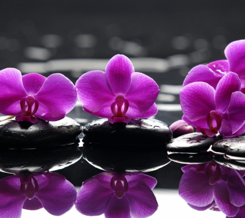 Обои Spa Purple Flowers 960x854