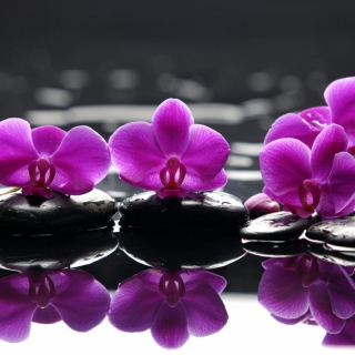 Spa Purple Flowers Wallpaper for iPad 3