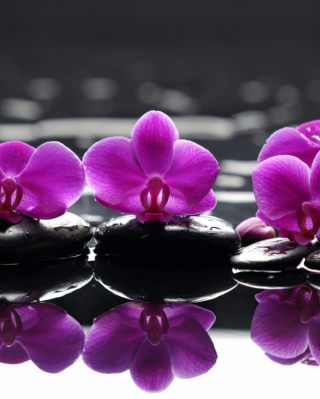 Spa Purple Flowers - Obrázkek zdarma pro iPhone 4S
