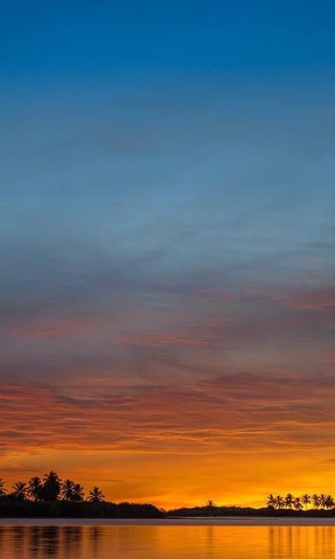 Das Ocean Sunset Wallpaper 480x800