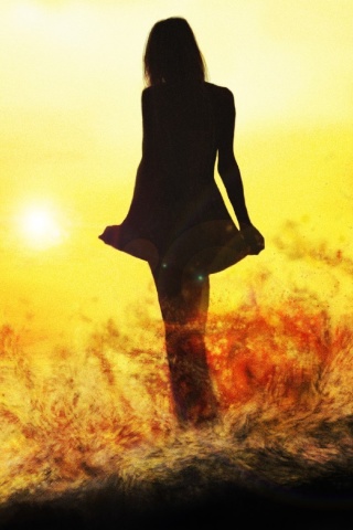 Das Girl Silhouette on Sunset Wallpaper 320x480