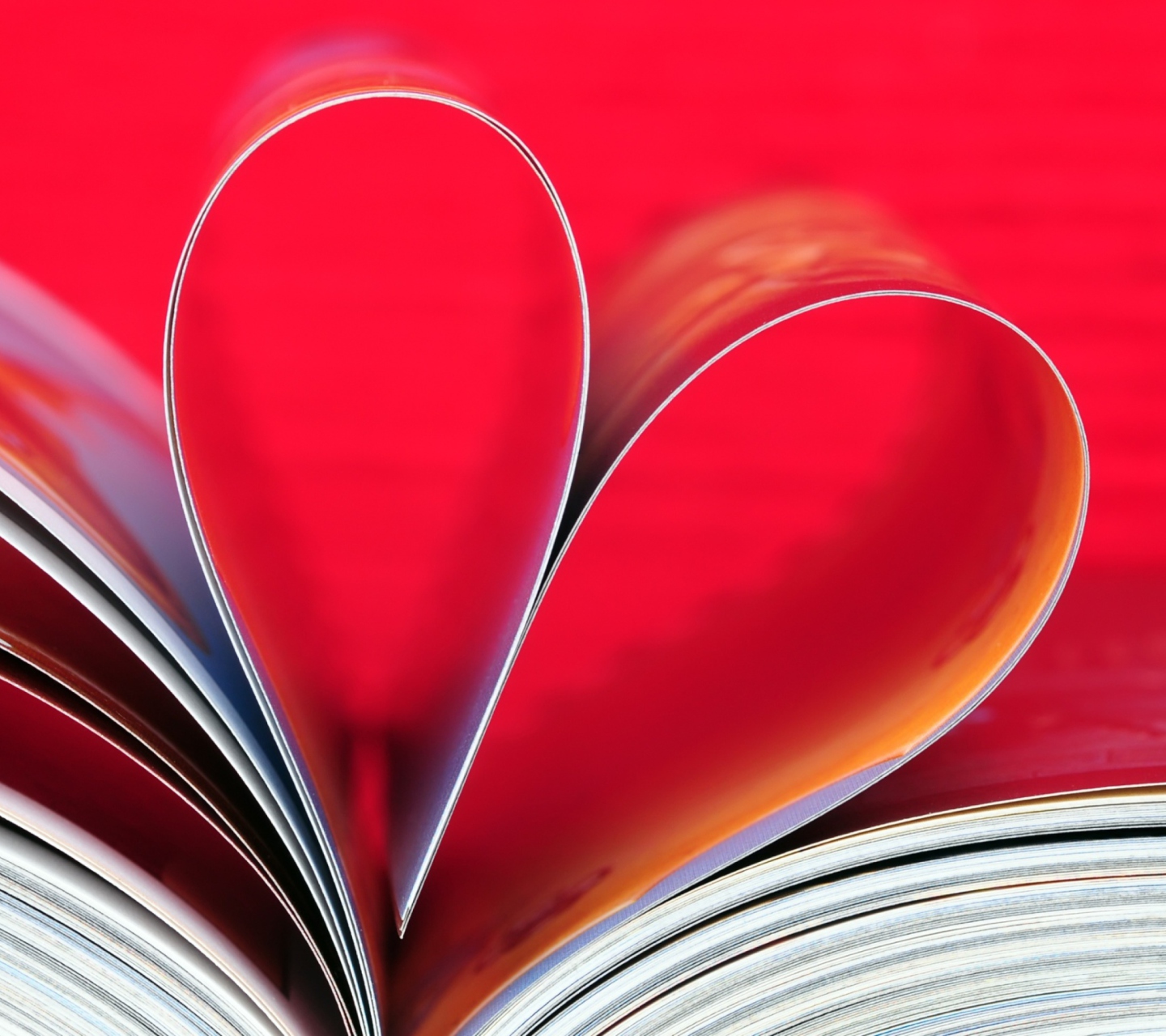 Обои Book Pages Form A Heart 1440x1280