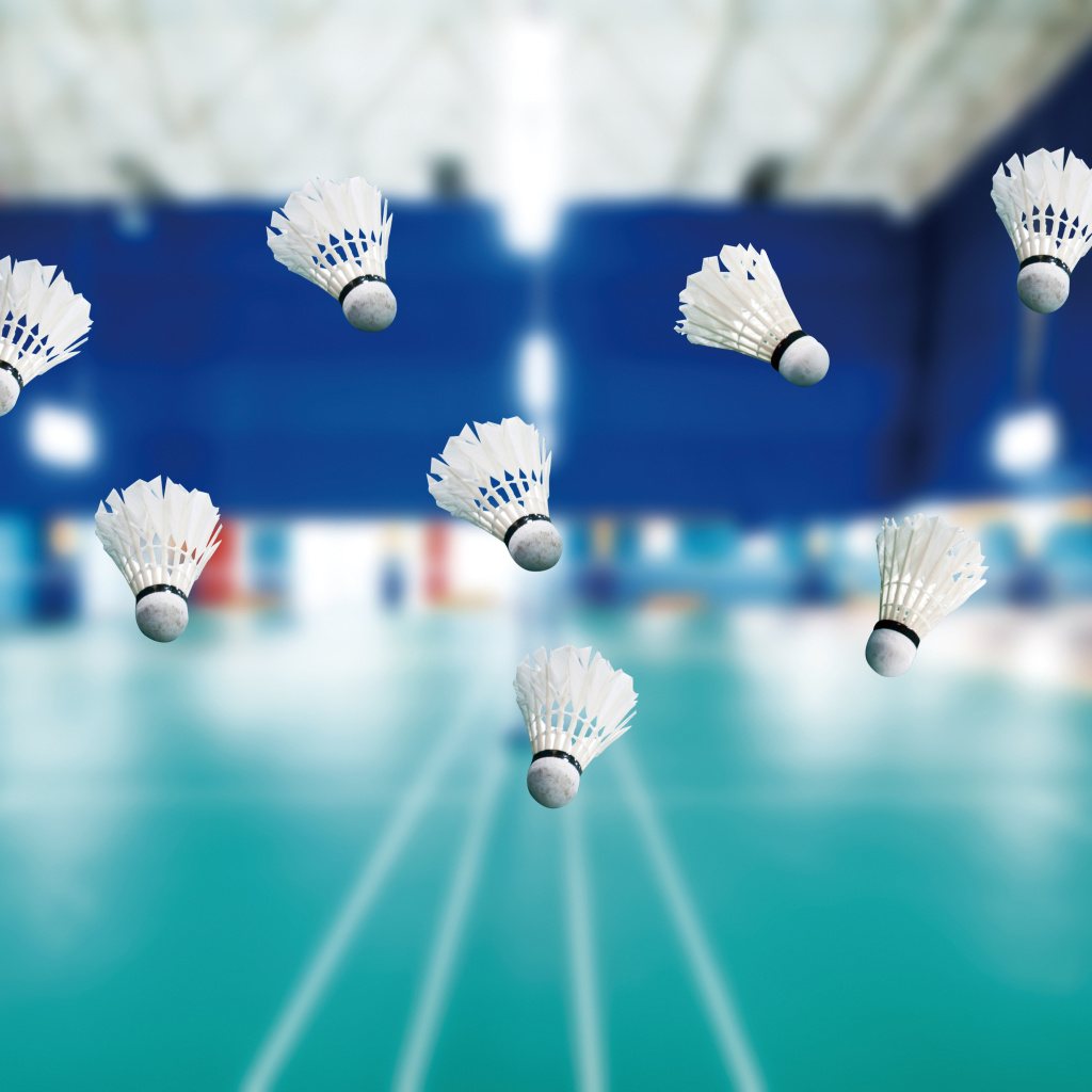 Badminton Court wallpaper 1024x1024