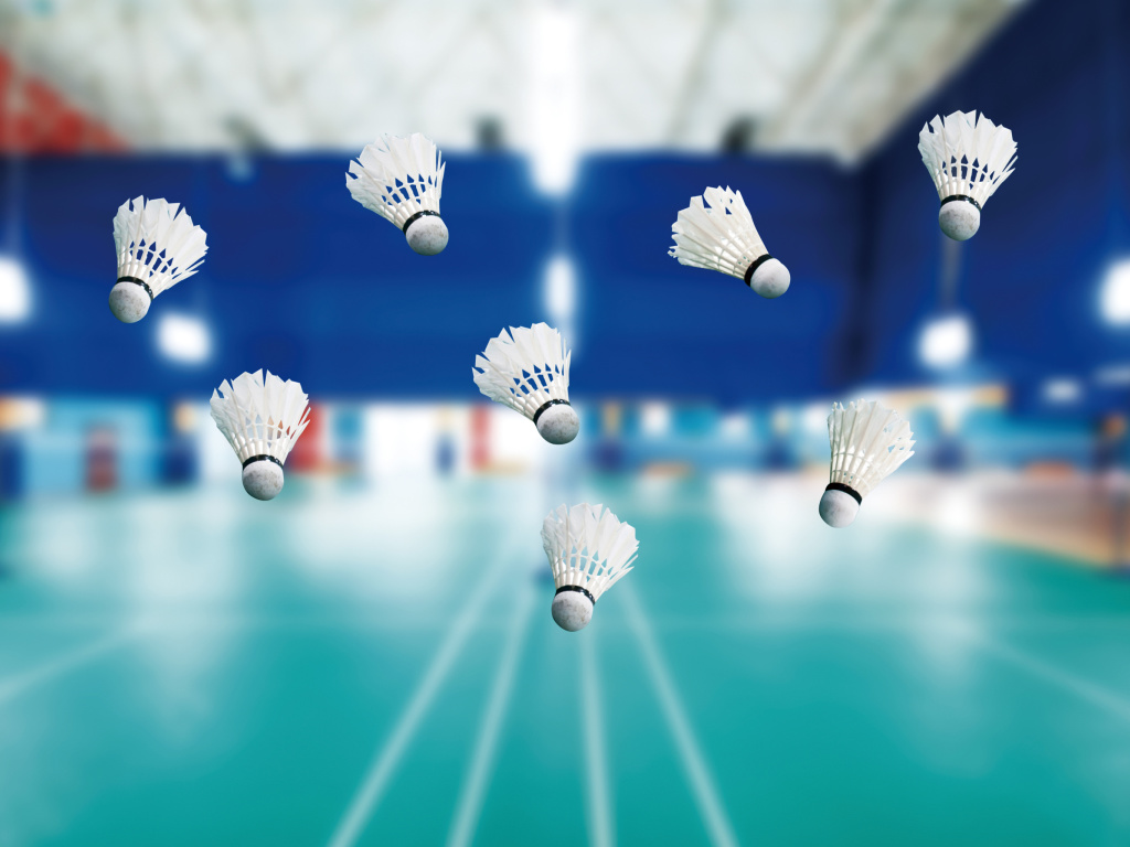 Das Badminton Court Wallpaper 1024x768
