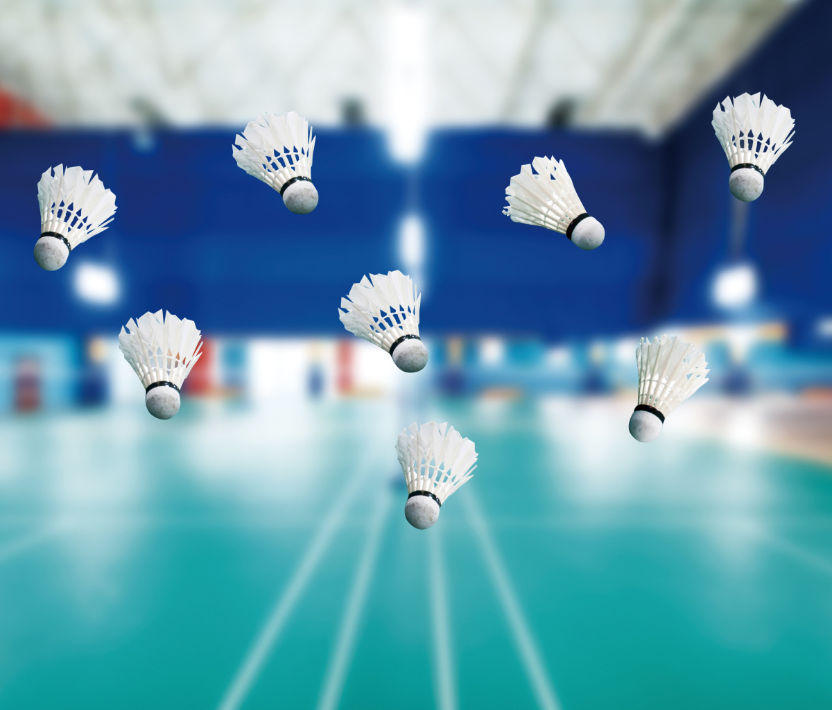 Badminton Court wallpaper 1200x1024