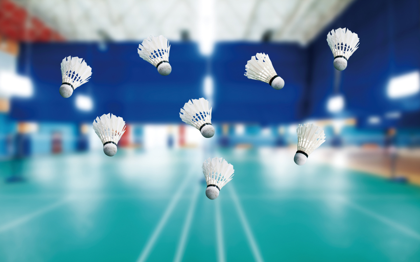 Fondo de pantalla Badminton Court 1440x900