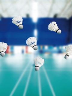 Обои Badminton Court 240x320