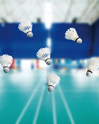 Kostenloses Badminton Court Wallpaper für Nokia Asha 308